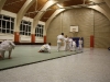 k-img_0394